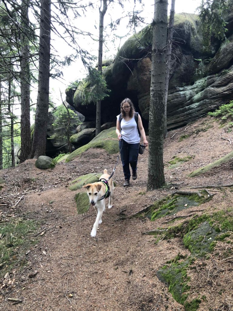 Pies w górach | Wyprawy z psem