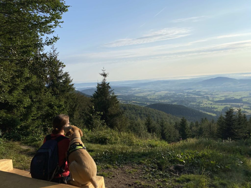 Punkt widokowy Trzy Kopce | Jak przygotować psa na góry