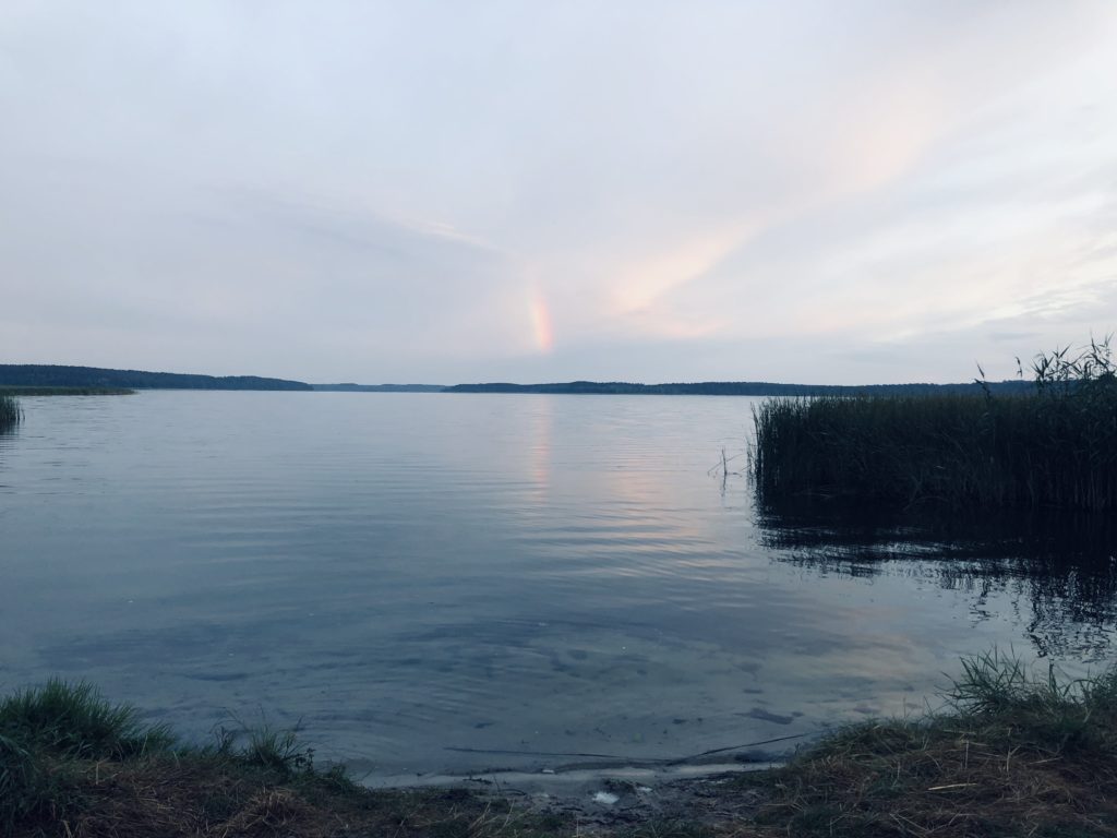 Spływ Brdą Jezioro Charzykowskie | Wyprawy z psem