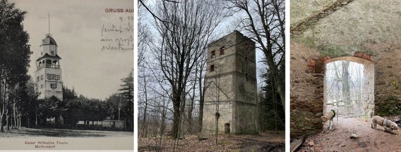 Mon Plaisir Pobiedna | Wyprawy z psem