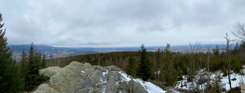 Sępia Góra (829m n.p.m.) | Wyprawy z psem
